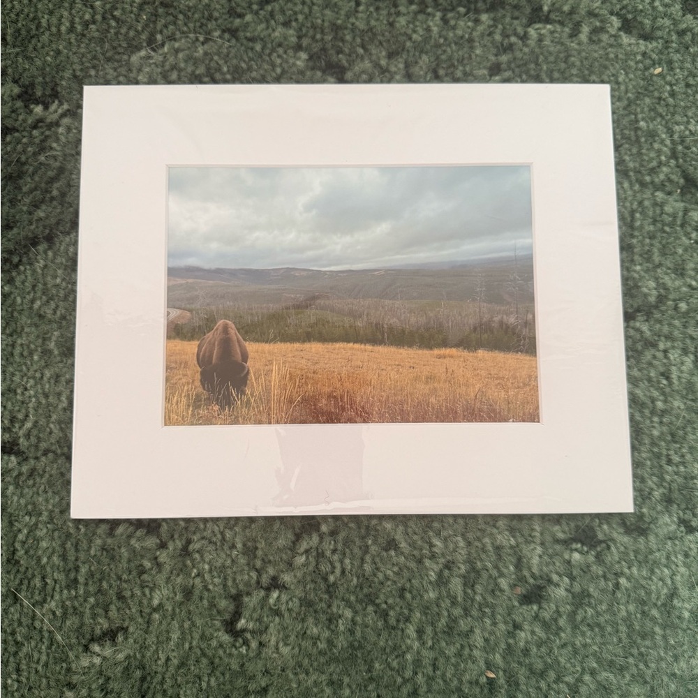 Framed Landscape Art Print with White Border